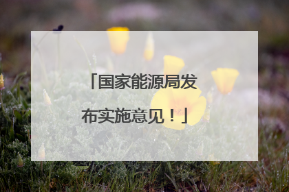 国家能源局发布实施意见！