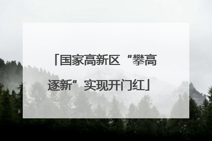 国家高新区“攀高逐新”实现开门红