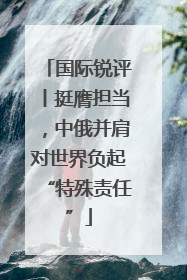 国际锐评丨挺膺担当，中俄并肩对世界负起“特殊责任”