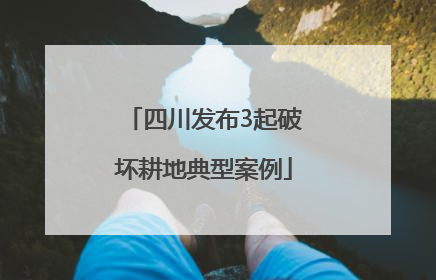 四川发布3起破坏耕地典型案例