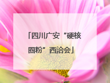 四川广安“硬核圈粉”西洽会