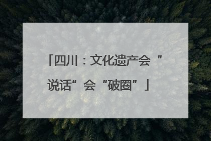 四川：文化遗产会“说话”会“破圈”
