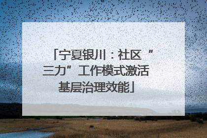 宁夏银川：社区“三力”工作模式激活基层治理效能
