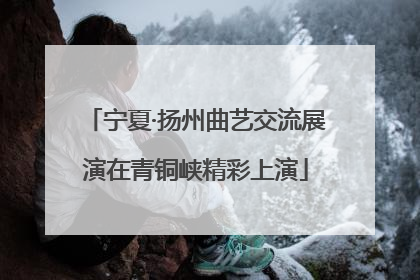 宁夏·扬州曲艺交流展演在青铜峡精彩上演
