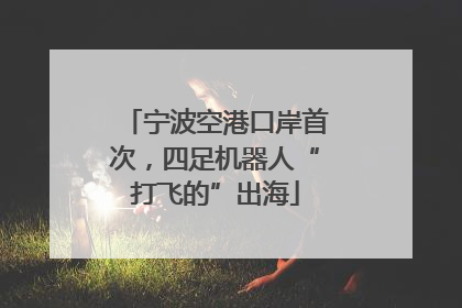 宁波空港口岸首次，四足机器人“打飞的”出海