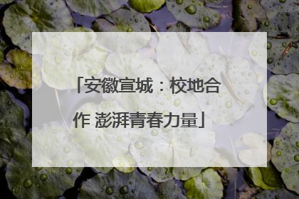 安徽宣城：校地合作 澎湃青春力量