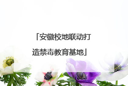 安徽校地联动打造禁毒教育基地