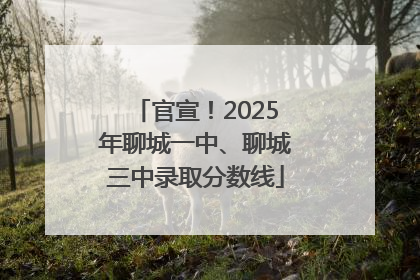 官宣！2025年聊城一中、聊城三中录取分数线