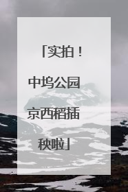 实拍！中坞公园京西稻插秧啦