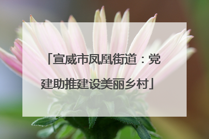 宣威市凤凰街道：党建助推建设美丽乡村