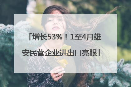 增长53%！1至4月雄安民营企业进出口亮眼