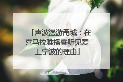 声波漫游甬城：在喜马拉雅播客听见爱上宁波的理由
