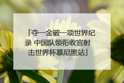 夺一金破一项世界纪录 中国队领衔收官射击世界杯慕尼黑站