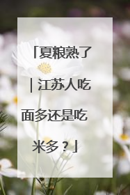夏粮熟了｜江苏人吃面多还是吃米多？