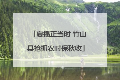 夏播正当时 竹山县抢抓农时保秋收
