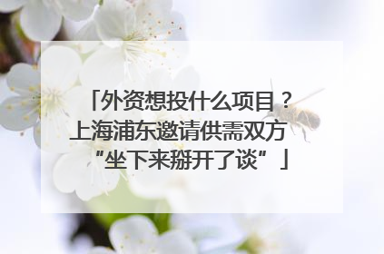 外资想投什么项目？上海浦东邀请供需双方“坐下来掰开了谈”