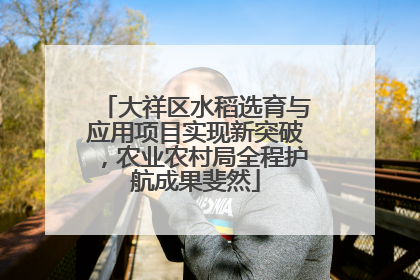 大祥区水稻选育与应用项目实现新突破，农业农村局全程护航成果斐然