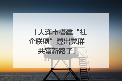 大连市搭建“社企联盟”蹚出党群共富新路子