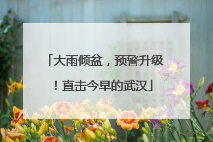大雨倾盆，预警升级！直击今早的武汉