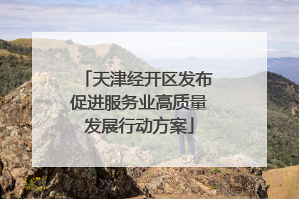 天津经开区发布促进服务业高质量发展行动方案
