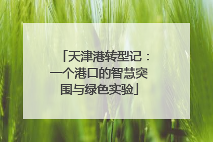 天津港转型记：一个港口的智慧突围与绿色实验