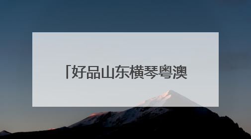 好品山东横琴粤澳深度合作区品牌出海中心正式启动