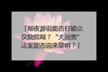 彻夜游说能否打破众议院僵局？“大而美”法案能否迎来黎明？