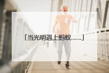 当光明遇上蚂蚁……