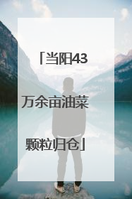 当阳43万余亩油菜颗粒归仓