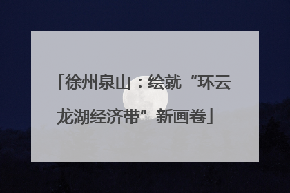 徐州泉山：绘就“环云龙湖经济带”新画卷