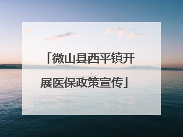 微山县西平镇开展医保政策宣传