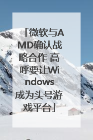 微软与AMD确认战略合作 高呼要让Windows成为头号游戏平台