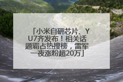 小米自研芯片、YU7齐发布！相关话题霸占热搜榜，雷军一夜涨粉超20万