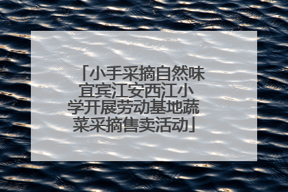 小手采摘自然味 宜宾江安西江小学开展劳动基地蔬菜采摘售卖活动