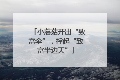 小蘑菇开出“致富伞”，撑起“致富半边天”
