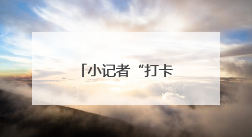 小记者“打卡”法院 “沉浸式”与法同行