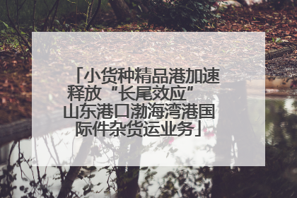 小货种精品港加速释放“长尾效应” 山东港口渤海湾港国际件杂货运业务