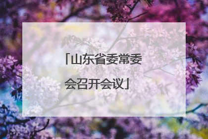 山东省委常委会召开会议
