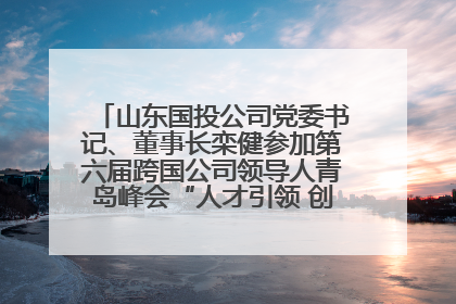 山东国投公司党委书记、董事长栾健参加第六届跨国公司领导人青岛峰会“人才引领 创新驱动”人力资源高质量发展对话会