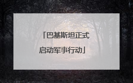 巴基斯坦正式启动军事行动