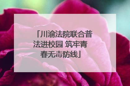 川渝法院联合普法进校园 筑牢青春无毒防线