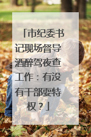 市纪委书记现场督导酒醉驾夜查工作：有没有干部耍特权？
