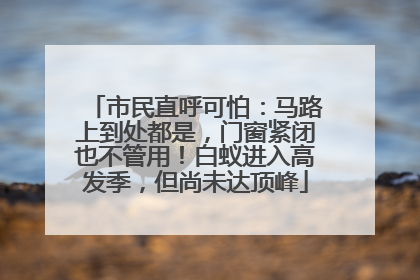 市民直呼可怕：马路上到处都是，门窗紧闭也不管用！白蚁进入高发季，但尚未达顶峰