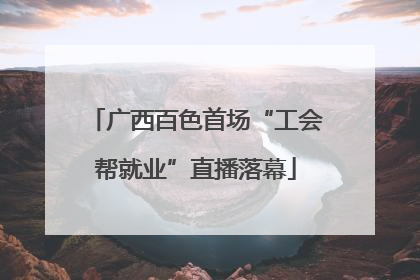 广西百色首场“工会帮就业”直播落幕