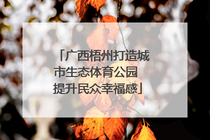 广西梧州打造城市生态体育公园 提升民众幸福感