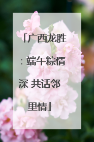 广西龙胜：端午粽情深 共话邻里情