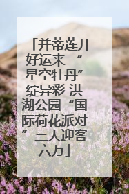 并蒂莲开好运来 “星空牡丹”绽异彩 洪湖公园“国际荷花派对”三天迎客六万