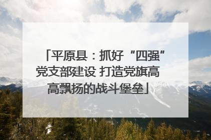平原县：抓好“四强”党支部建设 打造党旗高高飘扬的战斗堡垒