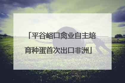 平谷峪口禽业自主培育种蛋首次出口非洲