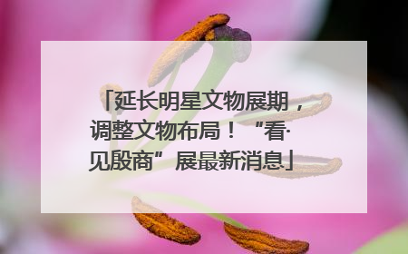 延长明星文物展期，调整文物布局！“看·见殷商”展最新消息